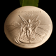 The Rio 2016 Olympic silver medal (Reuters/Sergio Moraes)